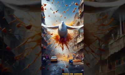 “Pigeon Gone Wild! 😱🕊️💥” #shorts #entertainment #ai #youtubeshorts