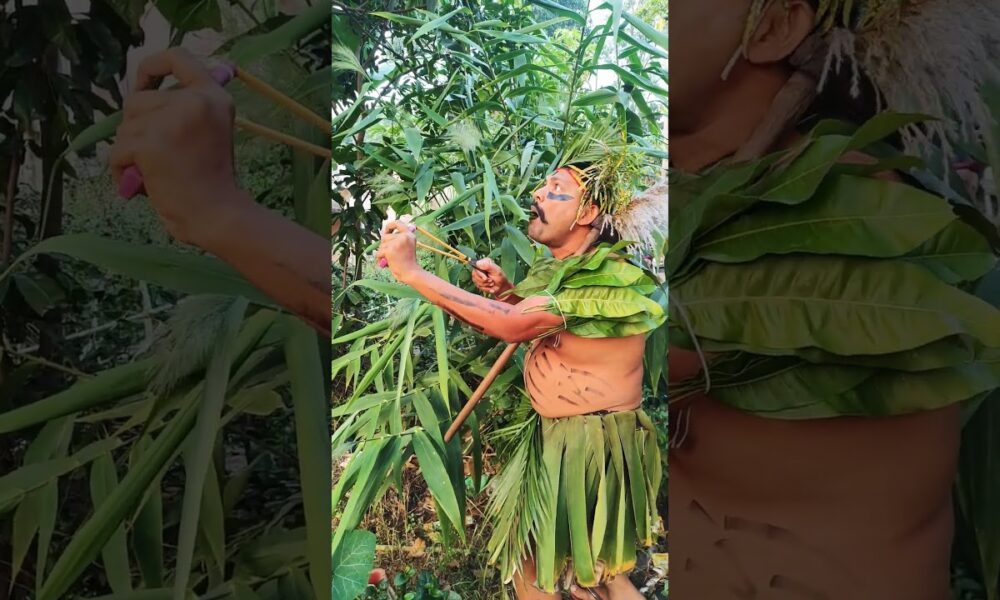 #birdsounds #entertainment #birds #viral #pleaselike&subscrebe 🙏🏻🙏🏻