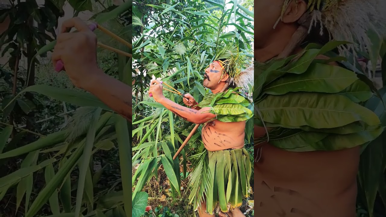 #birdsounds #entertainment #birds #viral #pleaselike&subscrebe 🙏🏻🙏🏻