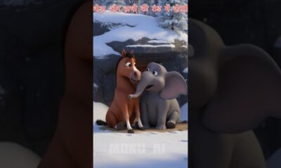 घोड़ा और हाथी की ठंड में दोस्ती |#aivideo #kidsstory #entertainment #viralvideo #hindstory #horse