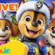 🔴 LIVE: Happy Holidays From PAW Patrol! 🎄🎁 | Nick Jr.