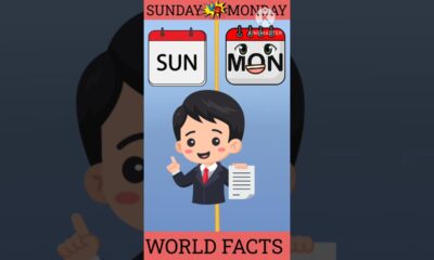 SUNDAY 🆚 MONDAY HOW TO WIN 🏆#shortsfeed #facts #entertainment #ytshorts #compilation #viralvideo