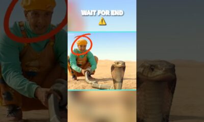 Total Dhamaal Javed Jaffrey Shooting #shooting #shorts