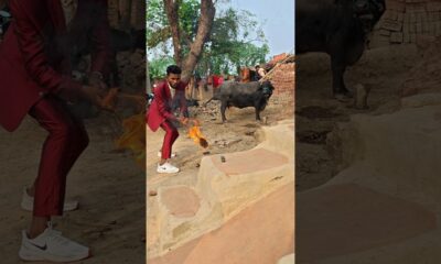 fusshi bom ka dhamaka 😱😱 #shorts #trendingshorts #viral #youtubeshorts #comedy #entertainment