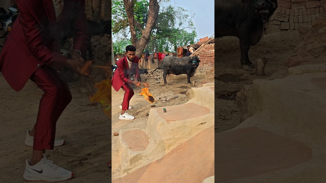 fusshi bom ka dhamaka 😱😱 #shorts #trendingshorts #viral #youtubeshorts #comedy #entertainment