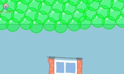 Silly George Live Stream