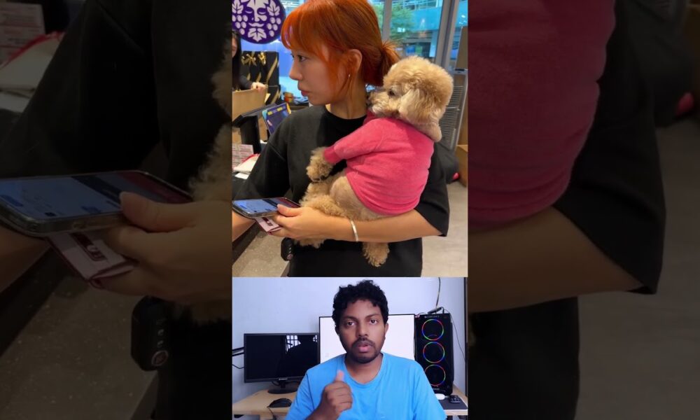 "​A Handful of Cuteness: Baby Puppy Resting Securely" #shorts #entertainment #pets #shortsfeed