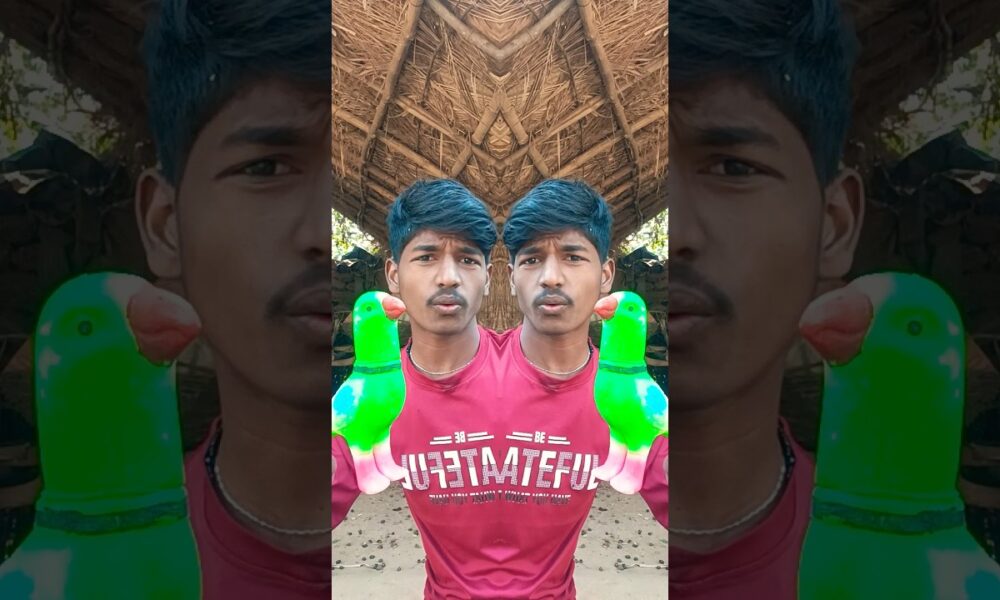 #realfoolscomedy #shortsfeed 🤣😂 #comedyshorts #newमारवाड़ीcomedy #shortvideos #entertainment 🎉🤣