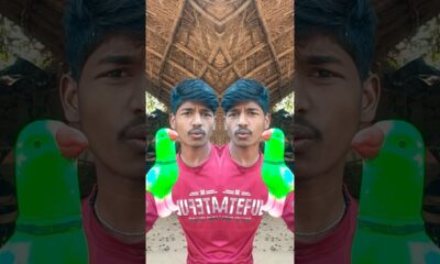 #realfoolscomedy #shortsfeed 🤣😂 #comedyshorts #newमारवाड़ीcomedy #shortvideos #entertainment 🎉🤣