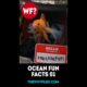 Hecklefish's Ocean Fun Facts Part 01 #shorts