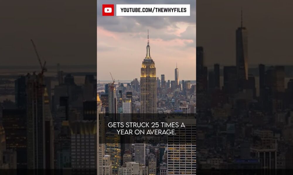 True or False? Did you know all of these? #05 #thewhyfiles #shorts