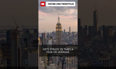 True or False? Did you know all of these? #05 #thewhyfiles #shorts