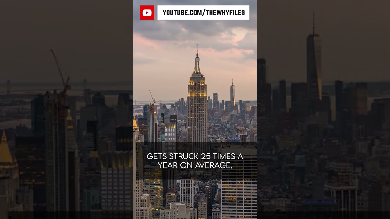 True or False? Did you know all of these? #05 #thewhyfiles #shorts