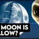 The Moon Revealed: It's a Hollow Spaceship, so who built it and why?
