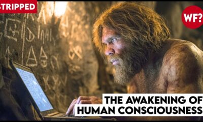 The Awakening of Human Consciousness | Forbidden Fungus (STRIPPED)