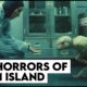 The Horrors of Plum Island | Hybrids, Human Experiments and Weaponized Killer Insects