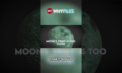 The Moon: A Mysterious Planet in Our Solar System