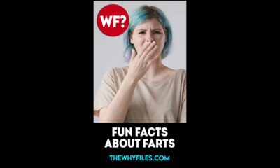 Fun Facts about Farts 02 - The Why Files #shorts