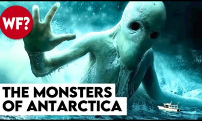 Cryptids Vol. 3: The Antarctic Cover-up | Predators Beneath the Ice