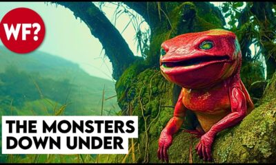 Cryptids Vol. 4 | Bunyips, Yowie and Australian Nightmare Fuel