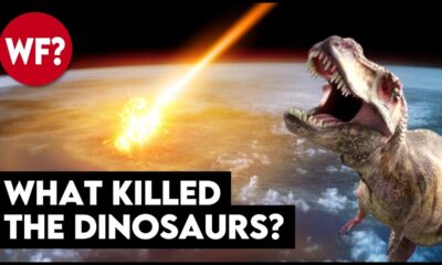 Why The Dinosaurs Died | The Chicxulub Asteroid Impact