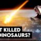 Why The Dinosaurs Died | The Chicxulub Asteroid Impact