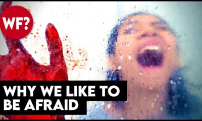 Why We Like To Be Scared | Do You Enjoy Fear?  This video will scare you. 😱