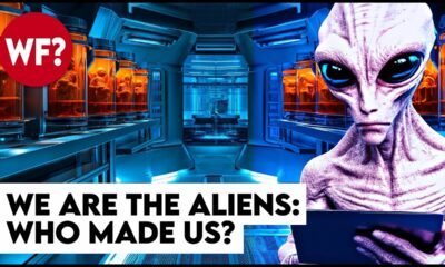 We Are the Aliens | Life's Interstellar Journey to Earth: Panspermia