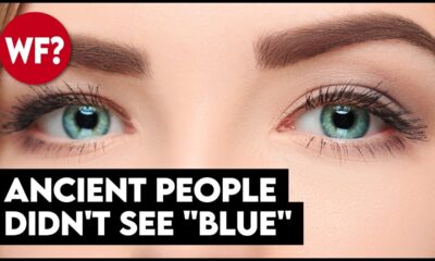 Why Ancient People Didn't See the Color Blue