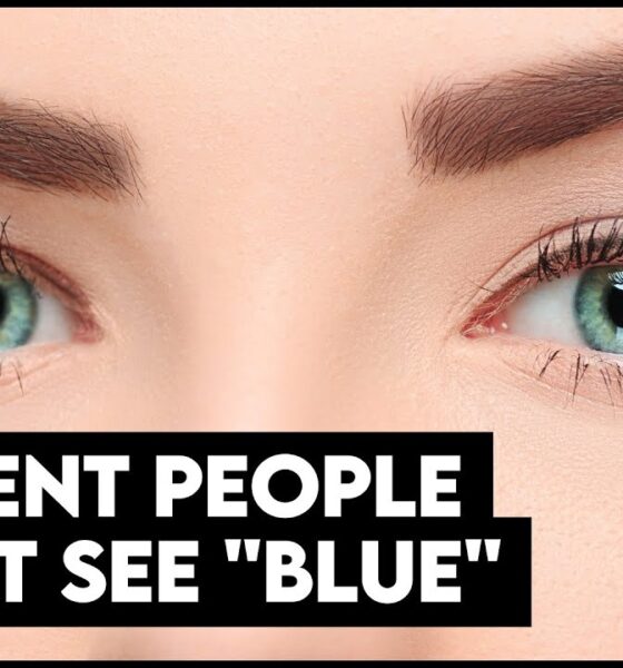 Why Ancient People Didn't See the Color Blue