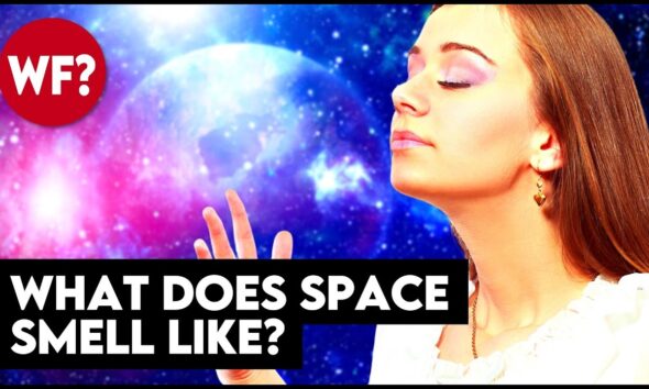 What does outer space smell like? (You're not gonna like it.)