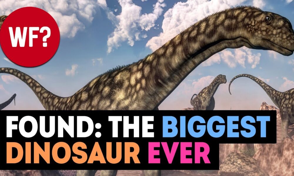 Largest Dinosaur EVER Discovered 😮 | Bigger than Patagotitan Majorum
