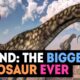 Largest Dinosaur EVER Discovered 😮 | Bigger than Patagotitan Majorum
