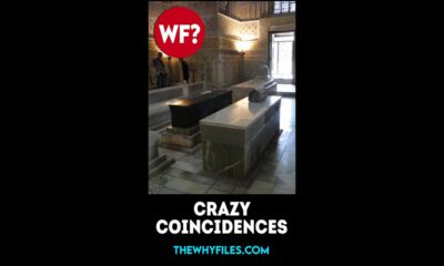 Crazy Coincidences 06 - The Why Files #shorts