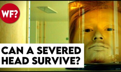 How Long Can Humans Live Without Their Head? (longer than you think)