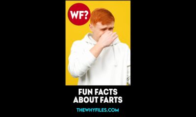 Fun Facts about Farts 01 - The Why Files #shorts