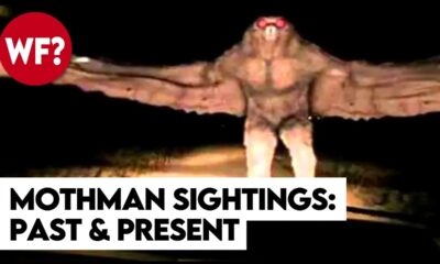 The Mothman Returns: Point Pleasant Legend to Chicago Terror