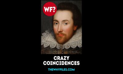 Crazy Coincidences 05 - The Why Files #shorts