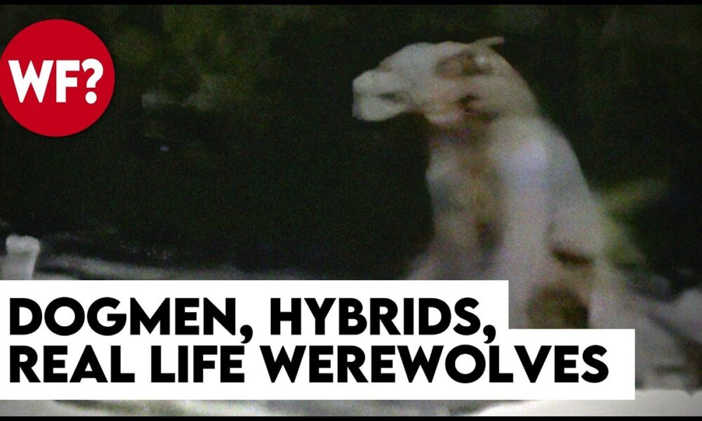 Dogmen, Hybrids, The Beast of Bray Road | True Stories of Werewolves