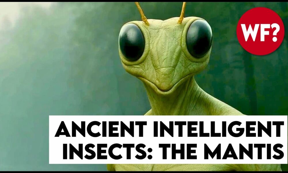 Earth's Mantis Overlords | They've Been Here all Along