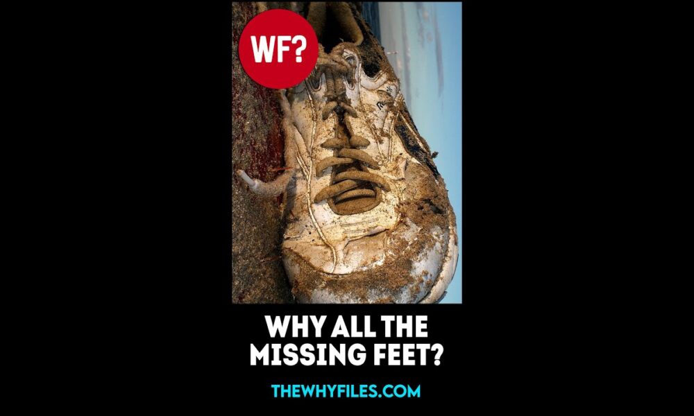 SOLVED: Why do MISSING FEET keep washing up on Canada's beaches? #shorts