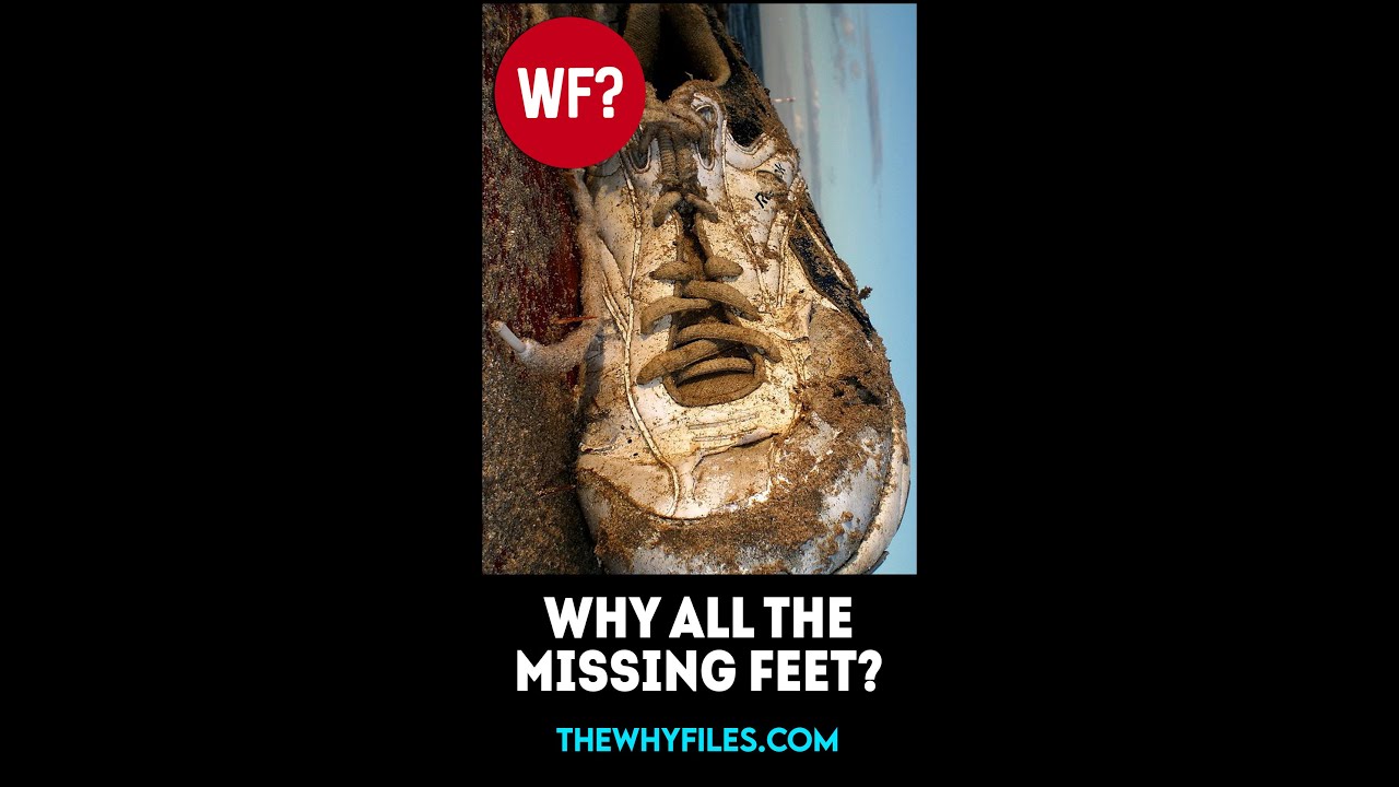 SOLVED: Why do MISSING FEET keep washing up on Canada's beaches? #shorts