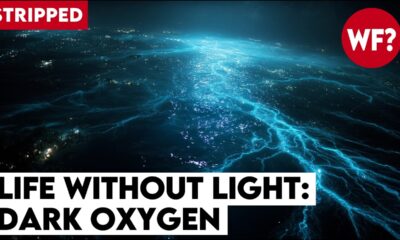 Dark Oxygen | CIA Deep Sea Secret Could Trigger the Next Extinction Event