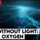 Dark Oxygen | CIA Deep Sea Secret Could Trigger the Next Extinction Event
