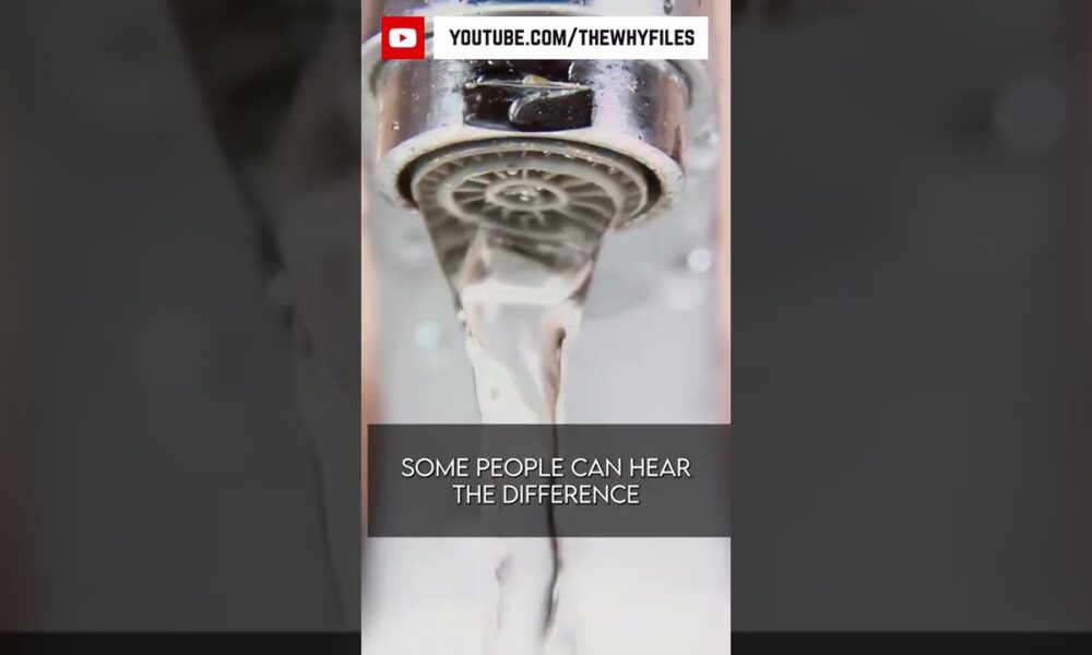 True or False? Did you know all of these? #shorts