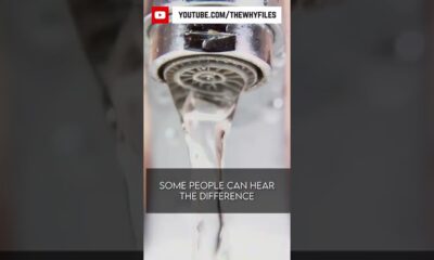 True or False? Did you know all of these? #shorts