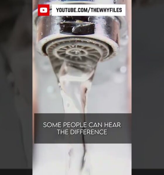 True or False? Did you know all of these? #shorts