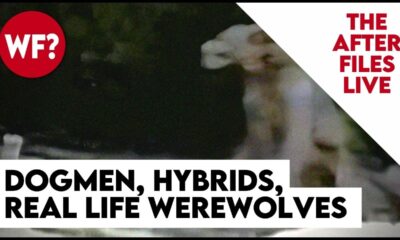 After Files Live: Dogmen, Hybrids, Werewolves