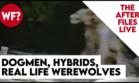 After Files Live: Dogmen, Hybrids, Werewolves