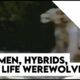 After Files Live: Dogmen, Hybrids, Werewolves